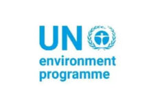 Photo of UN: Every $1 Invested in Climate and Clean Air Action Can Return $15