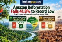Photo of Brazil’s Amazon Deforestation Falls 41.8% to Lowest Level Since 1988