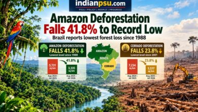 Photo of Brazil’s Amazon Deforestation Falls 41.8% to Lowest Level Since 1988