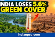 Photo of India Lost 5.6% Green Cover Between 2001 and 2025, Intensifying Summer Heat: Study