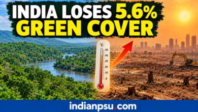 Photo of India Lost 5.6% Green Cover Between 2001 and 2025, Intensifying Summer Heat: Study
