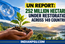 Photo of UN Report: 252 Million Hectares Under Restoration Across 149 Countries