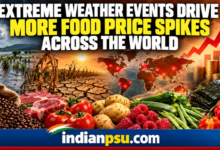 Photo of Extreme Weather Events Drive Food Price Spikes Across the World