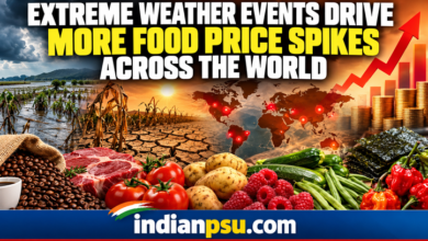 Photo of Extreme Weather Events Drive Food Price Spikes Across the World