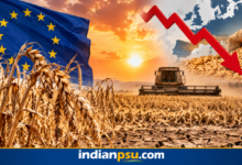 Photo of European Heatwave and Drought Wipe Out 16.7 Million Tonnes of Grain, Cost Farmers €3.2 Billion