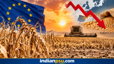 Photo of European Heatwave and Drought Wipe Out 16.7 Million Tonnes of Grain, Cost Farmers €3.2 Billion